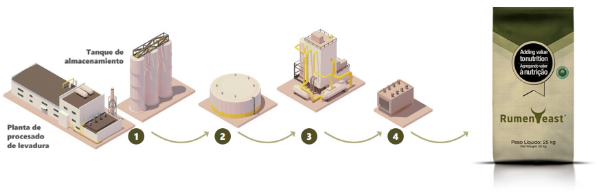 Levadura PEC > Proceso tecnológico ICC único y diferenciado en 4 pasos: 4SRY